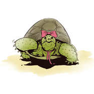 „Schildkröte mit Schleife im Haar“: Illustration von Arad Safarzadegan